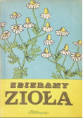 Zbieramy zioła