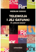 Telewizja i jej gatunki po wielkim bracie