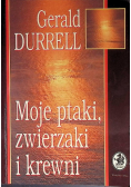Moje ptaki zwierzaki i krewni