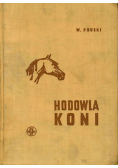 Hodowla koni