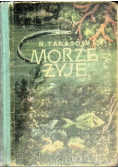 Morze żyje