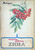 Wszyscy zbieramy zioła