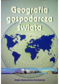 Geografia gospodarcza świata