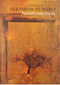 Nawiało nam burzę