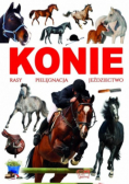 Konie rasy, pielęgnacja, jeździectwo