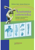 Anatomia człowieka