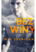 Bez winy