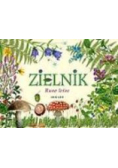 Zielnik Runo leśne