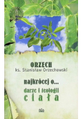 Najkrócej o darze i teologii ciała