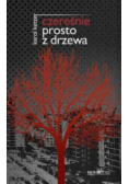 Czereśnie prosto z drzewa
