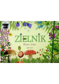 Zielnik Runo leśne