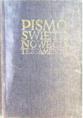 Pismo Święte Nowego Testamentu