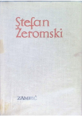 Zamieć
