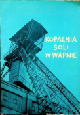 Kopalnia soli w wapnie