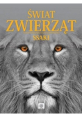 Ssaki świat zwierząt