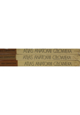 Atlas anatomii człowieka Tom 1 do 3
