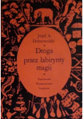 Droga przez labirynty magii