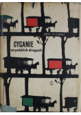 Cyganie na polskich drogach
