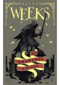 Trylogia Anioła Nocy Tom 2 Na krawędzi Cienia