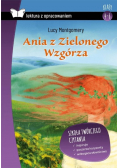 Ania z Zielonego Wzgórza Lektura z opracowaniem