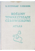 Rośliny towarzyszące człowiekowi