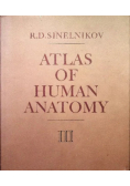 Atlas of human anatomy  Tom III
