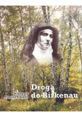 Droga do Birkenau