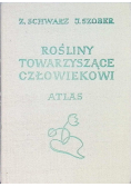 Rośliny towarzyszące człowiekowi