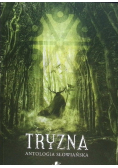 Tryzna. Antologia słowiańska