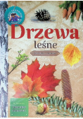 Drzewa leśne Młody Obserwator Przyrody