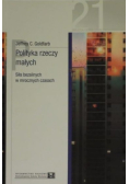 Polityka rzeczy małych