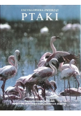 Encyklopedia zwierząt ptaki