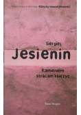 Kamieniem strącam księżyc