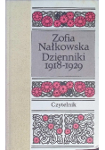 Dzienniki III 1918-1929