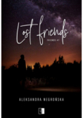 Friends Tom 7 Lost Friends