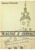 Kalisz z oddali