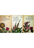Flora wiosenna/Flora letnia/Flora jesienna