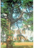 Dzieje Żołyni