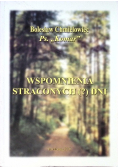 Wspomnienia straconych dni