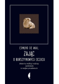 Zając o bursztynowych oczach