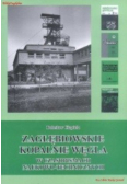 Zagłębiowskie kopalnie węgla w czasopismach naukowo-technicznych