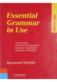 Essential Grammar in use
