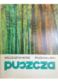 Puszcza