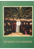 Numine Tuo Domine