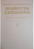 Anatomia człowieka Tom V