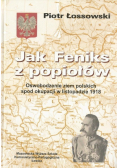 Jak Feniks z popiołów