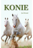 Konie