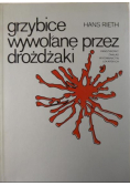 Grzybice wywołane przez drożdżaki