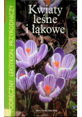 Kwiaty leśne i łąkowe