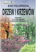 Encyklopedia drzew i krzewów